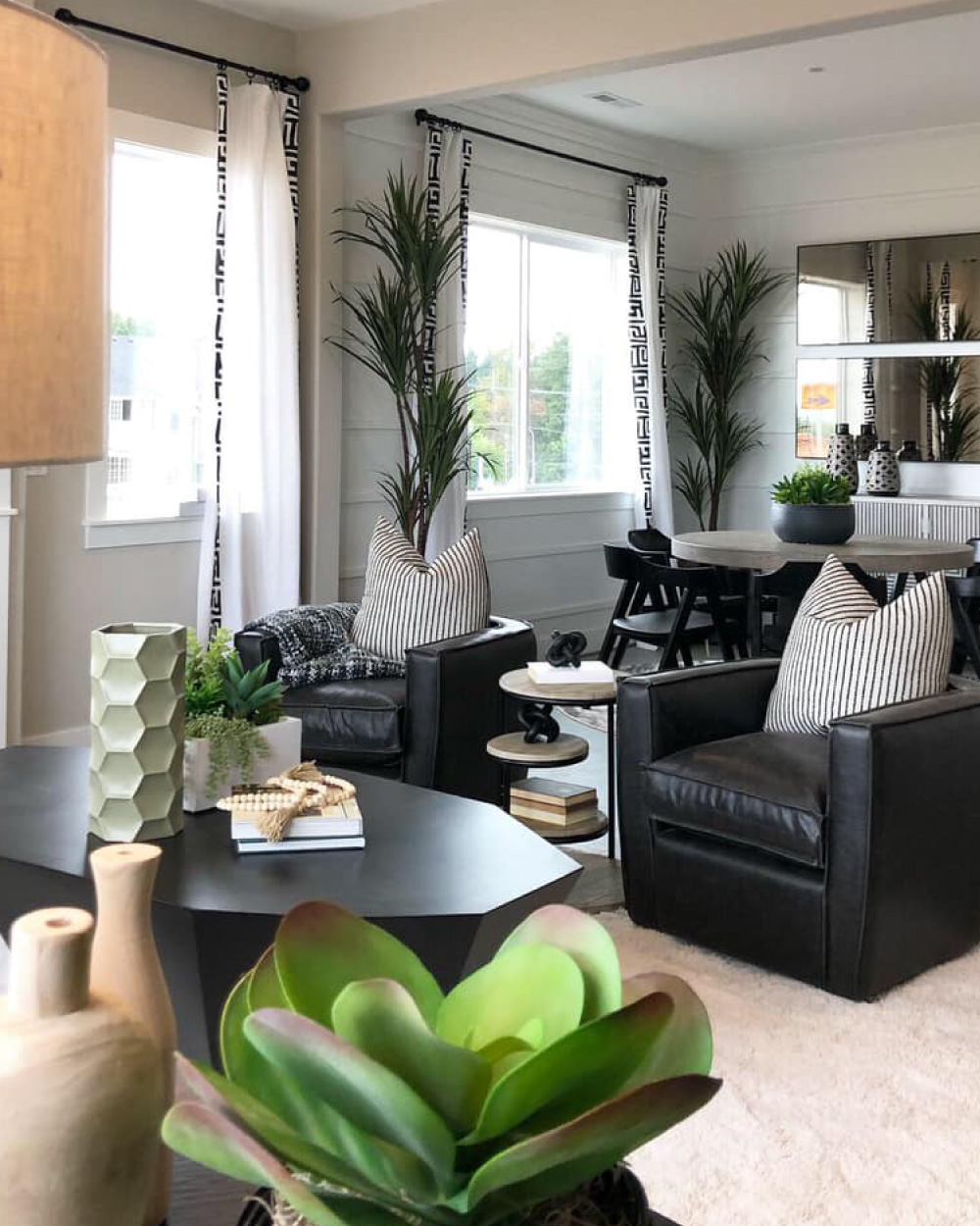Family room with a variety of plants