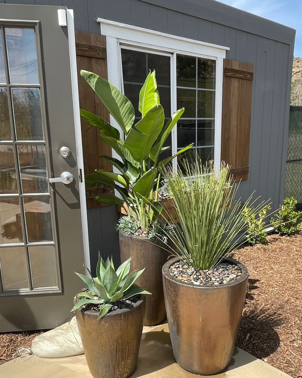 Exterior potted plants