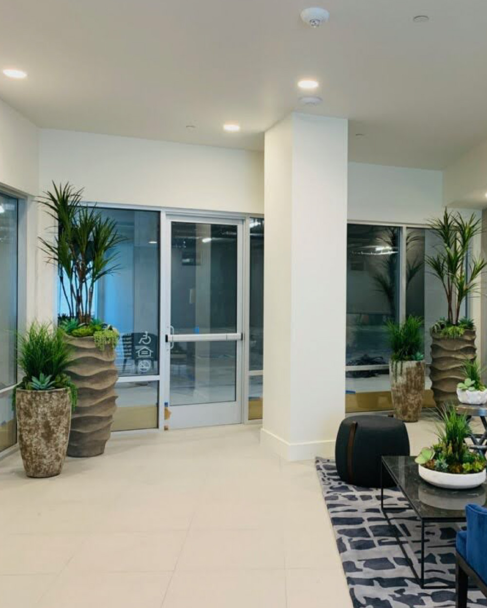 Office interior with plants