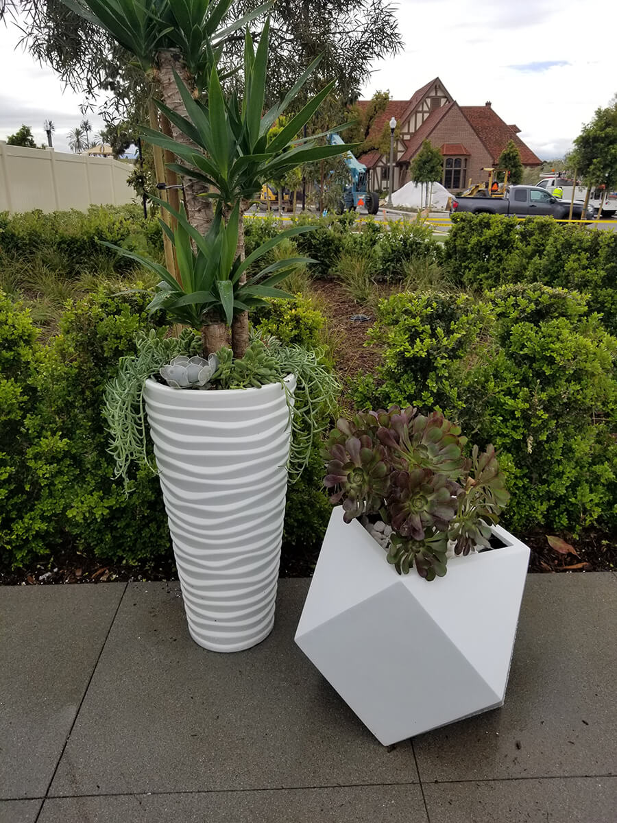 Exterior Potted Plants