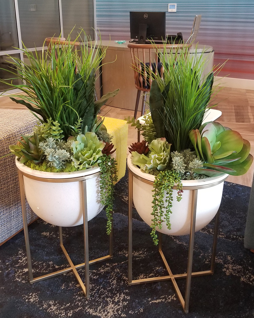 Matching potted plants in office setting