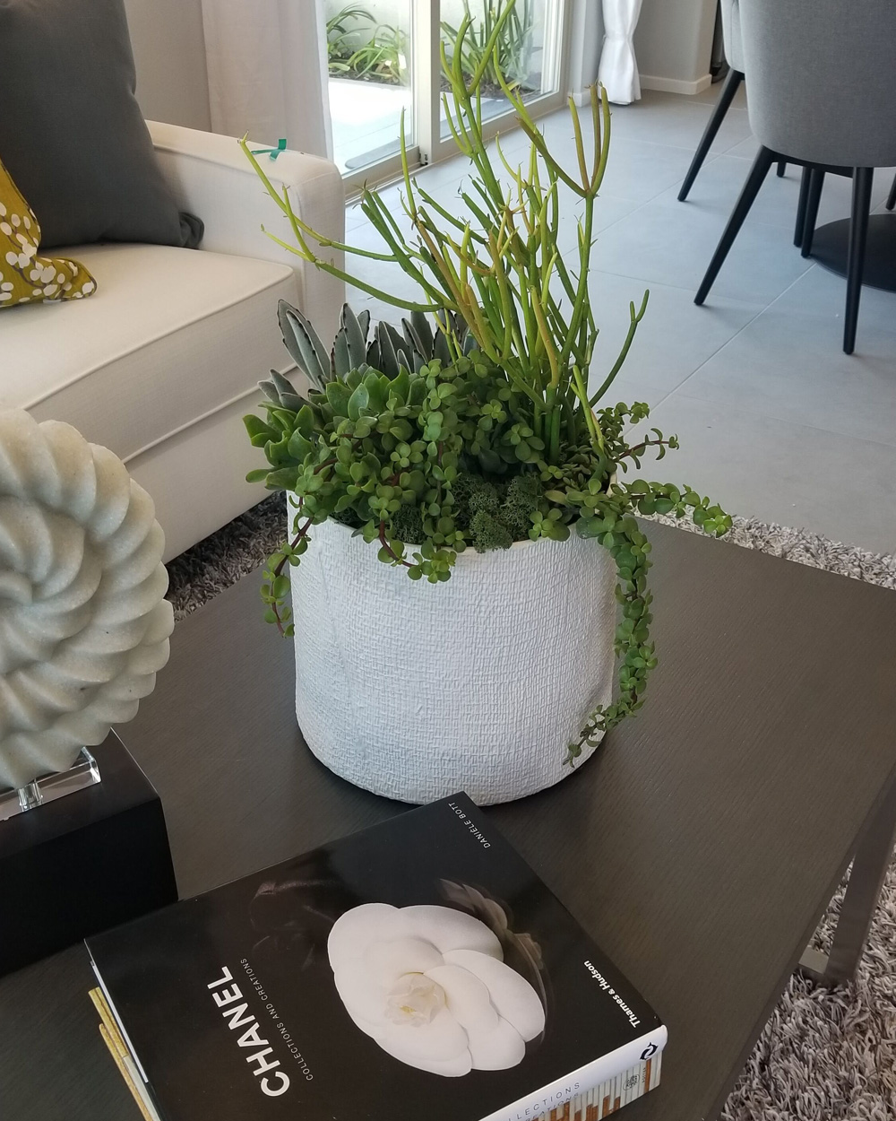 Coffee table book with plant