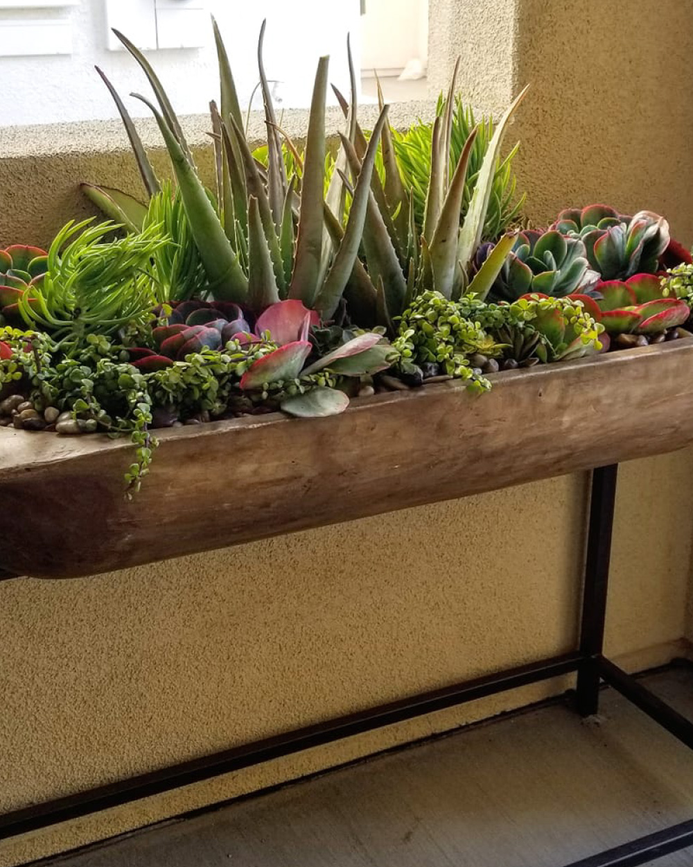 Wooden trough with plants